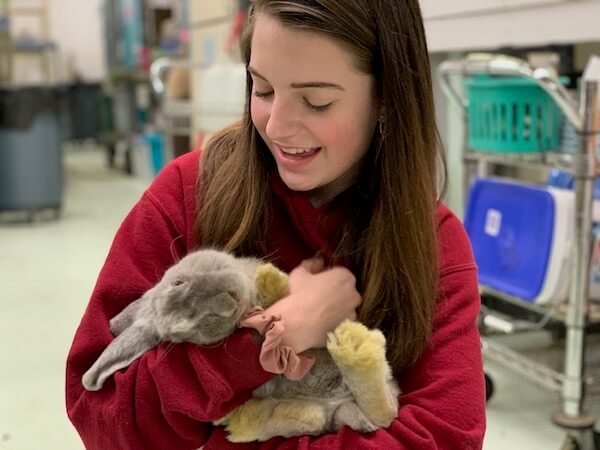 RMHRR volunteer holding rabbit with a head tilt