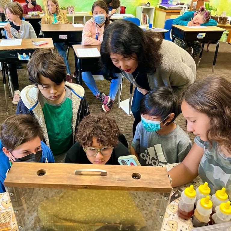 maple village waldorf school teacher with students