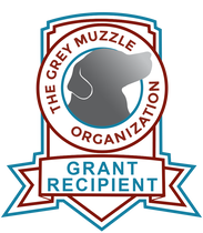 The Grey Muzzle Grant Recipient Badge for for Leave No Paws Behind